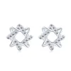 Gestüt Ohrringe S925 Silver Ear Forest Serie Super Unsterbliche Mikro -Set Hexagonal Star Sty