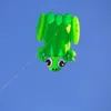 Wysokiej jakości 3D Single Line Software Frog Kite Sports Beach z uchwytem latawcem i akordem łatwym do latania 240424