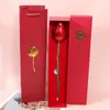 Colliers pendants Collier coeur entrelacé avec boîte cadeau rose créative pour femmes petite amie 2024 Valentin présente mode romantique