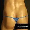 Onderbroek 2020 Mens Thong Sexy Mens Underwear Oversized Athletes S-XXXL Ultra-Thin Silk Q240430