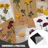 Decoratieve bloemen Embossing Accessoires Planten Pers Kit Grote professionele papierdrogende drukken voor volwassenen