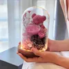 Eeuwige bewaarde bloemen Bearfresh Rose Mooie teddybeer in glas met LED gloeiende lichtgirlfriend Christmas Valentines cadeau 240418