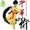 Scen Wear Kinderen Volwassen Meisje Taekwondo Dobok Wushu Kostuum Kimono Judo Kleding Chinese Pak Tai Chi Martia Uniform