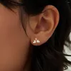 Boucles d'oreilles Aide 925 Sterling Silver Zircon For Women Geometry Series Fleur Crown / Moon Star Crystal Party Party Party Party