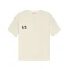 ESS Designer Kids T-shirts baby tops peuters kleding angst jongens meisjes