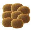 Simulazione della decorazione per feste Fruit Kiwi Foam Model Pografia PROPTS Home