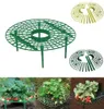 Plantondersteuning Planters Aardbei Plantrek Fruit ondersteunt planten Klimmen Vine rekwisieten Bloempilaar Tuinbeugel Landbouw4366779