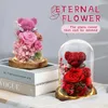 Eeuwige bewaarde bloemen Bearfresh Rose Mooie teddybeer in glas met LED gloeiende lichtgirlfriend Christmas Valentines cadeau 240418