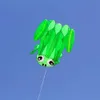 Wysokiej jakości 3D Single Line Software Frog Kite Sports Beach z uchwytem latawcem i akordem łatwym do latania 240424