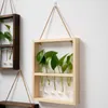 Vases Mur Masque suspendu en verre de verre en verre Vase à essai avec support en bois Planteur transparent Plante hydroponique