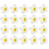 Dekorative Blumen 20 PCs Frangipani Künstliche Reise Tiara Faux Blumeneisen Pflumeria Blumenhaar Clip Dekor