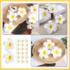 Fleurs décoratives 20 pcs Frangipani Travel Artificiel Travel Tiara Faux Floral Fer Plumeria Flower Clip Clip Decor