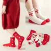 Chaussettes pour enfants chaussettes pour enfants printemps et automne Belle fraise à la fraise chaussettes pour les filles d'automne et d'hiver bébé rouges coton rouges 5 paires y240504