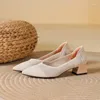 Dress Shoes Dames Hoge hakken met puntige vierkante dikke hiel gebreide modieus ademende anti-slip mooie kleur 2024 Spring su