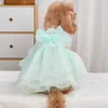 Vêtements pour animaux de compagnie robe de mariée de mariée fête des robes princesse pour les petits chiens costume de chat de luxe Costume blanc 240425