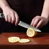 5 Zoll Utility Messer Küche Kleinmesser Japanisch 67 Schicht Damaskus Stahl Mehrzweckmesser Scharfe Schneidfruchtfruchtmesser