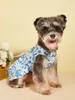 Robe de chien de chien pour animaux de compagnie bowknot princesse ventre floral jupe d'été suagte de soleil mignon pour petit ca
