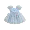 Girl Dresses Toddler Baby Birthday Outfifit Princess Abito Princess 3D Tulle Fairy Cosplay Party Tutu