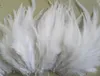 White Rooster Feather DIY Wedding Party Performance Decoration Feather 200 pcslot Approx 46 Inches or 1015cm79869481612227