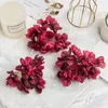 Fleurs décoratives 5pcs Silk Hortensia Mariage de mariage Couronnes de Noël DIY ARESSATION FLORIE