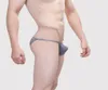 Erkekler Underpant Briefs esneklik torbası düşük bel seksi iç çamaşırı bikini ince buz ipek yüksek çatal men039s külot kayma hombre unterh5241729