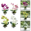 Fleurs décoratives PHALAENOPSIS BONNAI PLANTES POSTES PLANTES PLANTES DE SILLE VASE PLASTIQUE DE SILK VASE PLAST