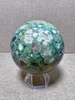 Figurine decorative Foresta pluviale naturale sfera sfera Frea libera intaglio Reiki Healing Stone Decorazione squisita