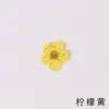 Decoratieve bloemen 1000 stks geperste gedroogde narcissus Jonquilla bloemplant herbarium voor epoxy hars sieraden bookmark ansichtkaart nagelart ambacht