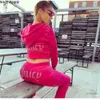 Juicy Apfel Frauen Tracksuits Veet Sewing Suits Outfit zweiteilige Jogging -Set Velor Met Hoodie Hosenanzug Damen 2024