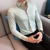 Camisas casuais masculinas para homens vestir luxo coreano Social de manga longa simples, todos combinam com um trabalho formal esburacado vestir tamanho grande