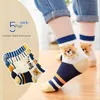 Chaussettes pour enfants 5 paires / lot 2023 enfants garçons automne chaussettes de fille coton carton d'hiver lion bébé respirant kear fraîcheur