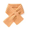 Écharpes hiver femmes cachemire pur cachette écharpe 80 15 patchwork de mode couleur chaude dames haute qualité