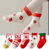 Barn Socks Girls Socks Cartoon Fashion Cotton Barn Socks Girl Girl Stockings for Children Pantys Socks Y240504