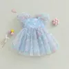 Girl Dresses Toddler Baby Birthday Outfifit Princess Abito Princess 3D Tulle Fairy Cosplay Party Tutu