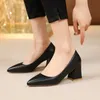 Scarpe eleganti Spring autunno francese in stile nero tacchi alti donne donne ruvide tallone fresco a colore nudo testa affilato singola estate 2028 h240504