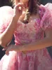 Vestidos de fiesta dulces princesa rosa rosa estampado estampado organza vestida de vestidos de pelota orejas de madera manga retro swing mini hada pastel broke