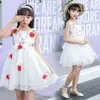 Girls Summer Dress 2024 Party Princess -jurken 2 3 5 7 9 tot 12 jaar oud Flower Avantgarde Design Prom Net Yarn 240423