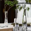 Vase de fleurs en verre transparent petite plante hydroponique terrarium salle de luxe table de chambre à la maison décoration de mariage 240429