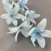 Dekorativa blommor konstgjorda hjärta orkidésträng diy hårnål huvudstycke krans med ornament bröllop hall vägg stil rekvisita blommor blommor