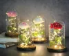 Szklanka LED Immortal Rose Zaczarowana galaktyka dekoracja wyposażenia domu wieczne 24K złota folia kwiatowa pokrywa szkła Valentine039s Dzień 8644599