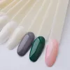 Nail Art Kits stalen stokken stokt natuurlijke praktijktips Poolse kleurendisplay