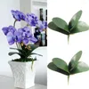 Dekorative Blumen 1 PCs PU künstliche grüne Schmetterling Orchideen Blätter Plastikblume Home Hochzeitsfeier Dekoration