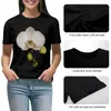 Women's Polos White Orchid On Black T-shirt Vintage Clothes Aesthetic Female Spring Women 2024