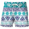 Herren -Shorts Tropics Hawaii Beach Herren Sommerbrett Casual Holiday Swim Trunks Vintage 3D Print Surf Badeanzug Homme Short Hosen