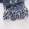 Abbigliamento per cani abiti da pet outfit gatto in denim abito primaverile gonna tutu per cagnolini di cagnolini chihuahua gatti abbigliamento estivo