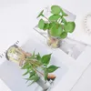 Dekorativa blommor 2 st 5,12 tum simulerad grön växtkrukkombination med falsk vattenglasflaska för hembokshylldekoration utan