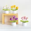 Decorative Flowers 1 Pc Orchid Flower Crochet Pots DIY Craft Plant Potted Bonsai Ornaments Handmade Woven Desktop Decor