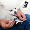 4st Vattentät denim Pet Shoes Antislip Sporty Sneakers Cats Dogs Booties Breattable Puppy Animal Supplies 240428