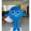2024 Costume de Mascot Blearberry Hivelle Costume Cartoon Characon Topics Cost Furry Cost Halloween Carnival Birthday Party Robe