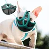 Appareils de chien Mesh Mesh durable Boucle inoffensive Design anti-bite Couverture de compagnie